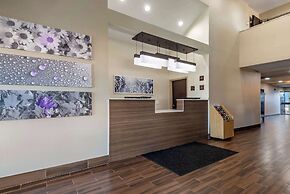 Sleep Inn - Salisbury I-85