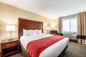 Comfort Inn Onalaska - La Crosse Area