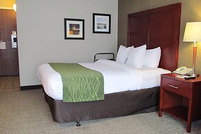 Comfort Inn Dartmouth