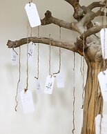 Grand Cayman Marriott Resort