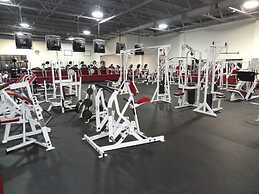 Lamie's Inn and The Old Salt Restaurant