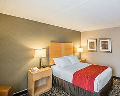 Comfort Inn - NYS Fairgrounds