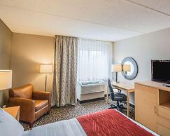Comfort Inn - NYS Fairgrounds