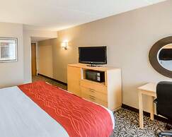 Comfort Inn - NYS Fairgrounds