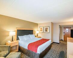 Comfort Inn - NYS Fairgrounds