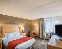 Comfort Inn - NYS Fairgrounds