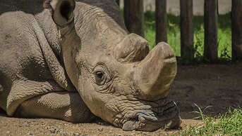 Magnuson Hotel Red Baron