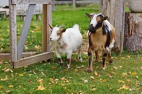 The Essex Resort & Spa