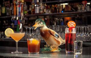 Graduate by Hilton Charlottesville