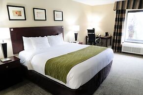 Comfort Inn & Suites Southwest Fwy at Westpark
