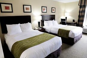 Comfort Inn & Suites Southwest Fwy at Westpark