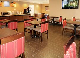 Comfort Inn & Suites Southwest Fwy at Westpark