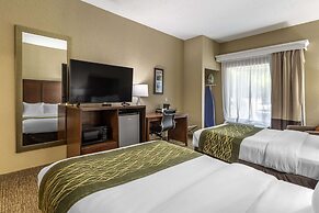 Comfort Inn South Kingsport