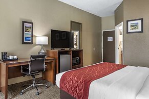 Comfort Inn South Kingsport