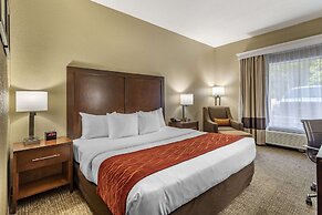 Comfort Inn South Kingsport