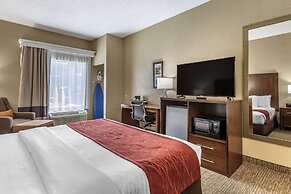 Comfort Inn South Kingsport