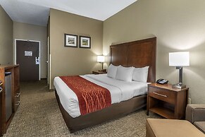 Comfort Inn South Kingsport