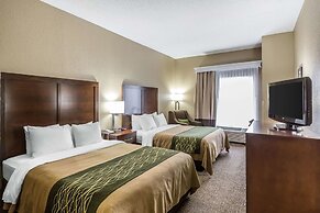 Comfort Inn South Kingsport