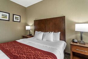 Comfort Inn South Kingsport