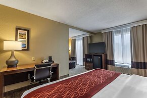 Comfort Inn South Kingsport