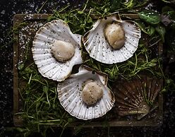 White Lion Hotel - Aldeburgh