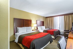 Comfort Inn Downtown