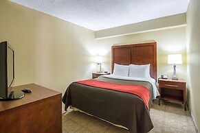 Comfort Inn Downtown