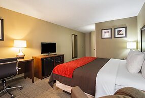 Comfort Inn Downtown