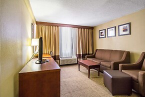 Comfort Inn Downtown