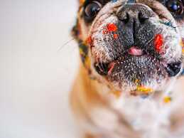 ibis Styles Tours Sud