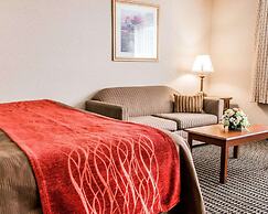 Comfort Inn Utica