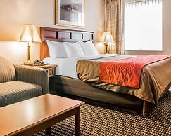 Comfort Inn Utica