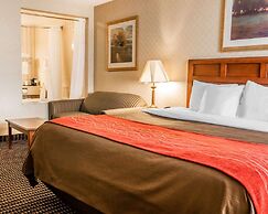 Comfort Inn Utica