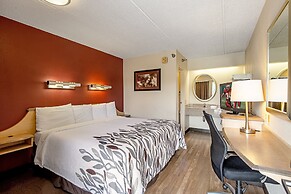 Red Roof Inn Toledo - University