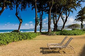 Aston Islander on the Beach