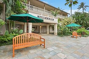 Aston Islander on the Beach
