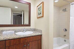 Aston Islander on the Beach