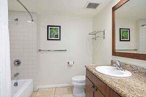 Aston Islander on the Beach