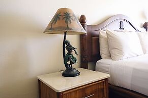 Aston Islander on the Beach