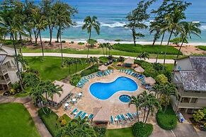 Aston Islander on the Beach