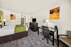 Best Western Executive Inn