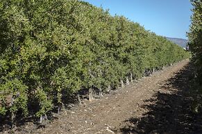 Novotel Perpignan Nord Rivesaltes