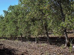 Novotel Perpignan Nord Rivesaltes