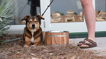 Holiday Inn Resort Jekyll Island by IHG