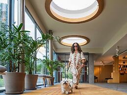 Novotel Madrid City Las Ventas