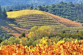 Dry Creek Inn MOD Collection by Sonesta