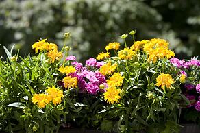 Hotel Splendid-Dollmann