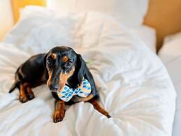 ibis Nürnberg Hauptbahnhof