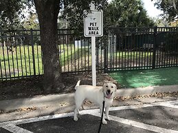 Holiday Inn Resort Orlando - Lake Buena Vista by IHG