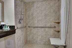 Holiday Inn Resort Orlando - Lake Buena Vista by IHG